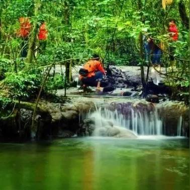 王国保卫战4：折相思最新版本大解析，深度探讨全新剧情设定与游戏玩法升级