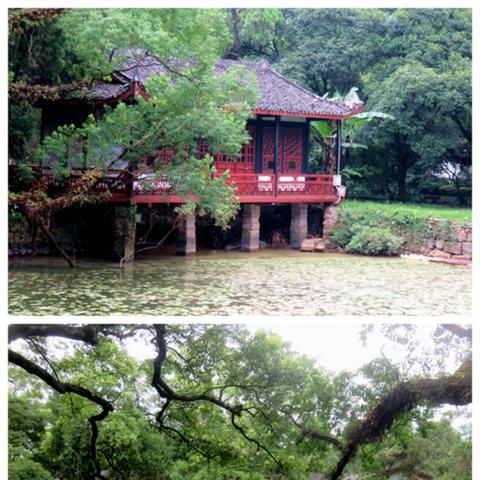 王国保卫战4：折相思最新版本大解析，深度探讨全新剧情设定与游戏玩法升级