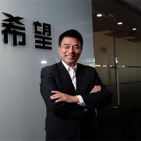 (刘永好 民生银行副董事长)刘永好计划入股 欲举牌民生银行提振股价