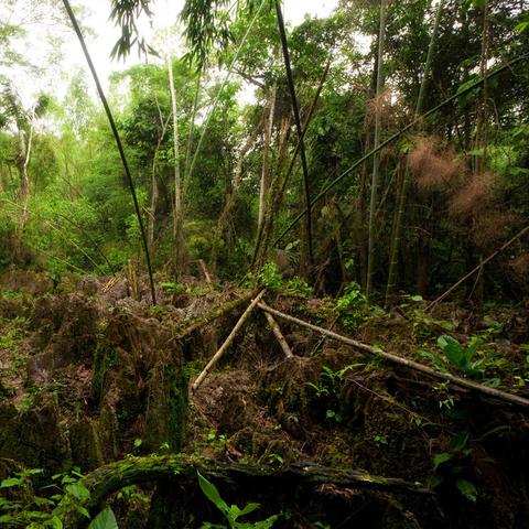 (探秘手机游戏)探索手机游戏世界,发现超好玩的手机游戏吧! (探秘手机游戏)探索手机游戏世界,发现超好玩的手机游戏吧!