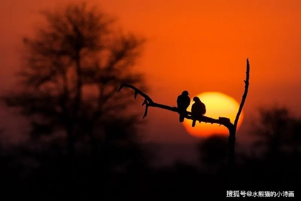 (黎明的一)黎明的范围:唤醒心灵,启迪思想,领略黎明时分的独特魅力 (黎明的一)黎明的范围:唤醒心灵,启迪思想,领略黎明时分的独特魅力