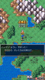 (丢丢斗恶龙去广告)探索童年记忆：丢丢斗恶龙游戏的策略设计与个性化玩法揭秘