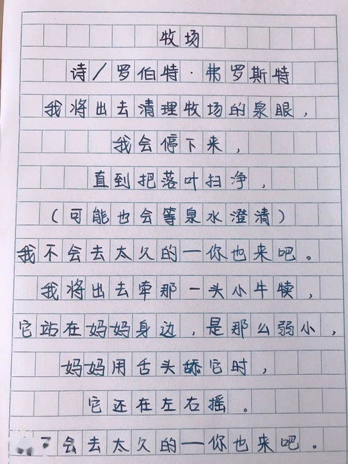 探索人类心灵：以治愈为主题的作文800字，从心灵深处感悟情感疗愈的力量