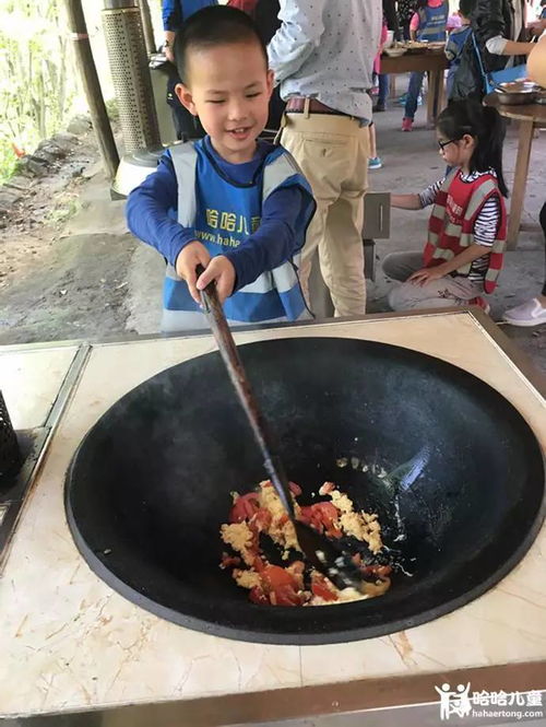 (cozy grove茶叶蛋)挑战极限！探索茶叶蛋大冒险15关，寻找隐藏关键解锁新世界