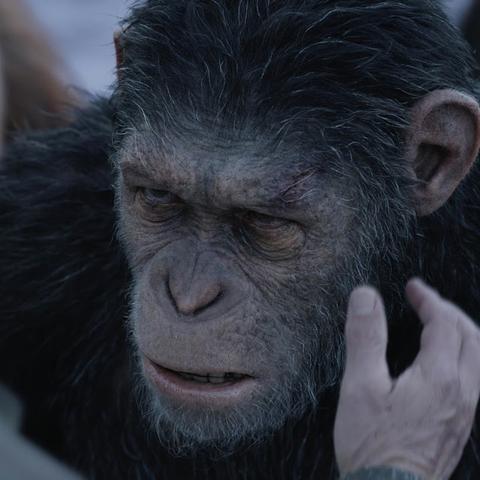 (猿族时代攻略)探索猿族时代：趣味小游戏带你穿越远古时代的冒险之旅