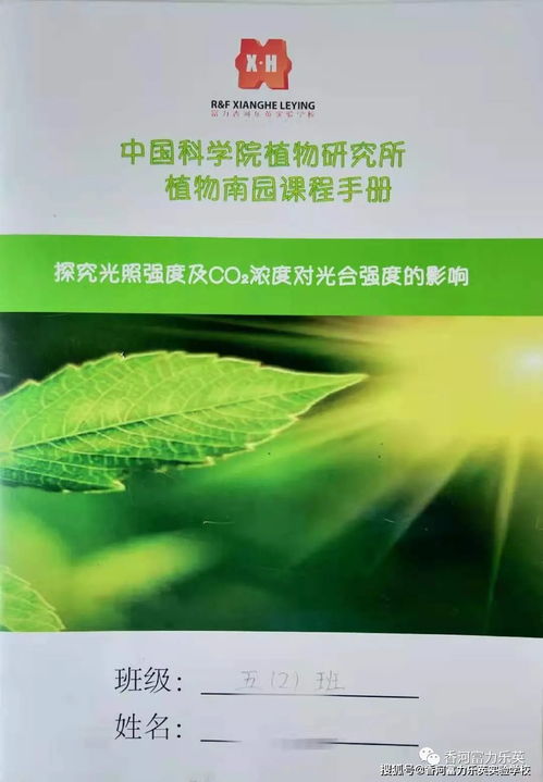山人为仙的经典名言启示：探索怎样通过自然生活走向精神幸福和自身丰富