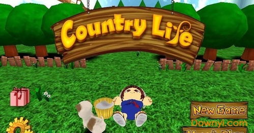 (农村日常生活游戏)2023年最新农村生活游戏大揭秘：享受田园生活的乐趣