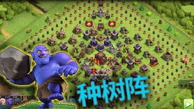 探秘奥丘树海底无限可能的t0阵容