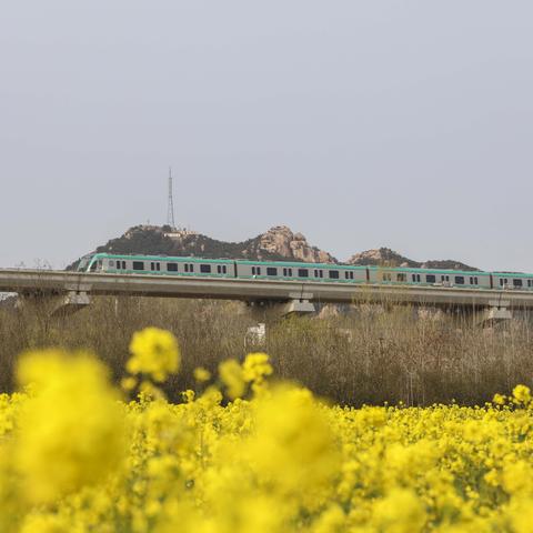 探索桃源仙境小程序手游：体验唯美田园生活与奇幻冒险的完美结合