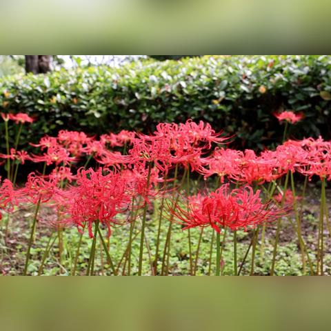 探索疯狂3+2：五彩缤纷的新世界，背后隐藏着无穷可能