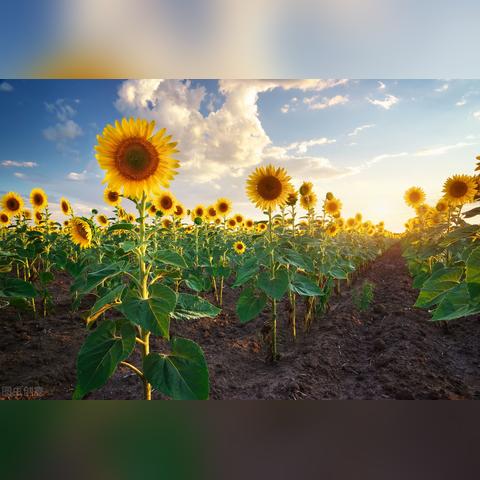 (无尽灵魂 ios)无尽灵魂ios版叫什么名字？探寻这个奇幻世界的神秘之谜