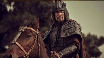 (穿越刘琦娶蔡氏)刘琦穿越开局：独步山河征服蔡夫人的传奇征程