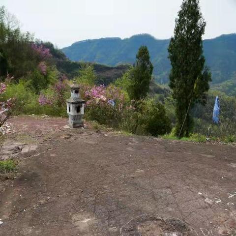 (中国第一个恐龙化石在哪个国家)中国人发现的第一个恐龙化石:揭开恐龙世界之谜 (中国第一个恐龙化石在哪个国家)中国人发现的第一个恐龙化石:揭开恐龙世界之谜