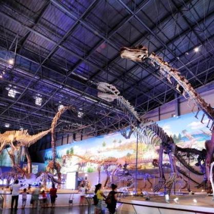 (中国第一个恐龙化石在哪个国家)中国人发现的第一个恐龙化石:揭开恐龙世界之谜 (中国第一个恐龙化石在哪个国家)中国人发现的第一个恐龙化石:揭开恐龙世界之谜