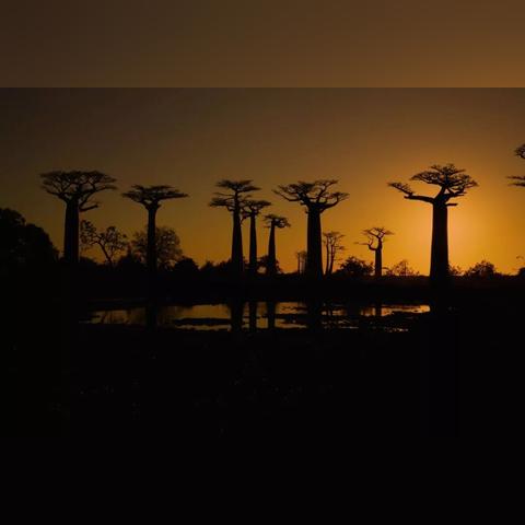 鬼影镇详细攻略:揭秘神秘小镇的隐藏秘密与探险技巧,助你顺利通关 鬼影镇详细攻略:揭秘神秘小镇的隐藏秘密与探险技巧,助你顺利通关