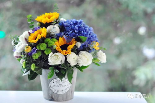 桃源深处有人家菊花育种配方，揭秘古老奇迹般的花艺传承与技术创新