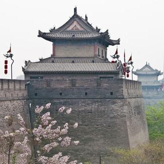 探索古老传说：揭秘长城官方手游的种类及其独特的游戏玩法体验