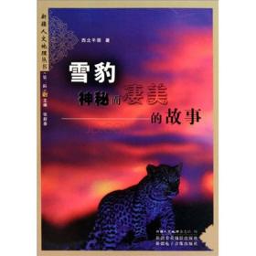 探寻神秘的艾人文化：详解如何踏上前往那个被称为长夜移动城的奇幻旅程