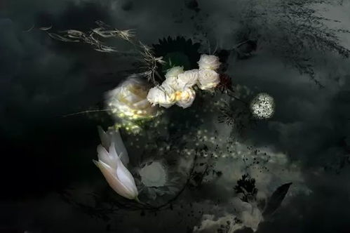 神奇之笔描绘梦幻世纪：揭示镜花水月背后的现实意涵——以墨图创作为载体