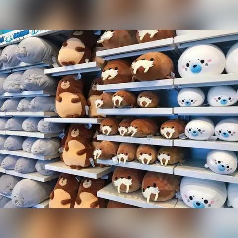 (小鸟多久刷新)小鸟爱飞翔的奇观：多少级激活才能真正领悟