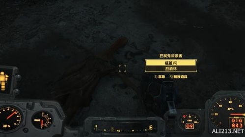 探索未知领域,辐射4图文攻略助您轻松成就全面征服游戏的绝佳利器 探索未知领域,辐射4图文攻略助您轻松成就全面征服游戏的绝佳利器