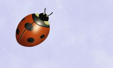 (瓢虫少女百度百科)探索瓢虫少女的神秘世界：官方链接大揭秘