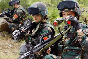 突击荣耀电视剧:用青春和热血燃烧!收获荣耀,点燃梦想火焰! 突击荣耀电视剧:用青春和热血燃烧!收获荣耀,点燃梦想火焰!