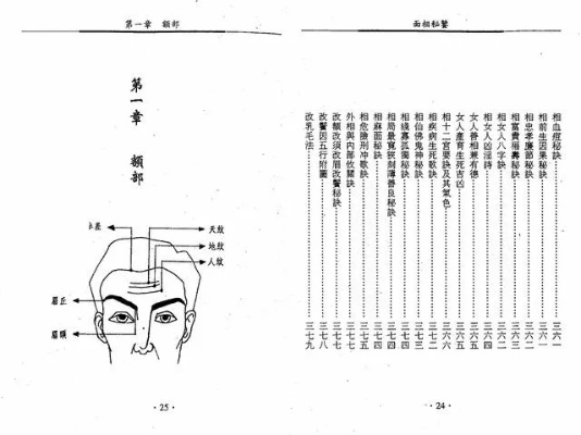 天下第一相书PDF微盘下载:探索古代相术的智慧与秘密,助你解析面相 天下第一相书PDF微盘下载:探索古代相术的智慧与秘密,助你解析面相