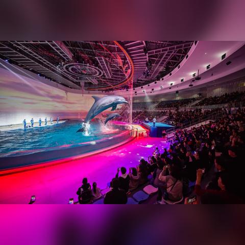 (海底奇观是什么游戏)探索海底新奇世界,一起畅游蔚蓝游戏正版的海洋奇遇! (海底奇观是什么游戏)探索海底新奇世界,一起畅游蔚蓝游戏正版的海洋奇遇!