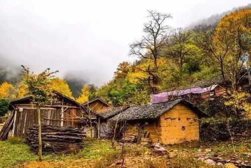 平坦村在哪里?想要探寻这个宁静如画的村庄在哪,一起探秘它的美丽风景。 平坦村在哪里?想要探寻这个宁静如画的村庄在哪,一起探秘它的美丽风景。