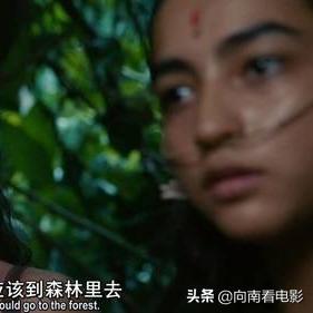 (神秘玛雅人)探寻神秘世界：传奇的玛雅入口启示录