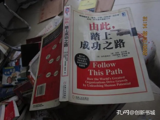 (如何踏入政界)从政途晋级到巅峰：如何成功踏上政治之路