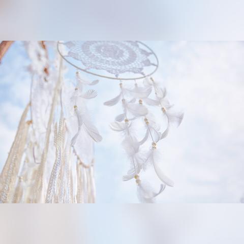 你能活到99岁吗？探索游戏攻略与技巧，助你在虚拟世界中延续生命的终极指南