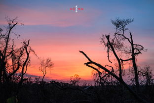 (残阳依旧是什么意思)残阳见旧山：感慨岁月沧桑，回首往事，心生感慨