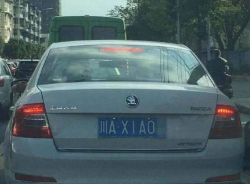 (车牌537什么意思)车号537的寓意及其象征意义深远