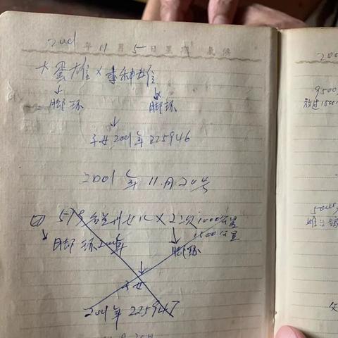 (要塞远征什么时候上线)要塞远征军2秘籍用不了？深入探讨可能的原因及解决方法