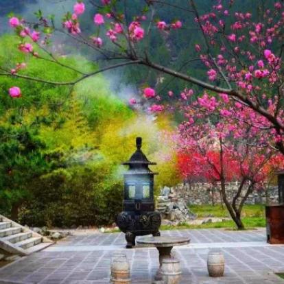 (动物江湖读后感)免费阅读最热门的动物江湖传漫画,精彩故事等你来发现 (动物江湖读后感)免费阅读最热门的动物江湖传漫画,精彩故事等你来发现