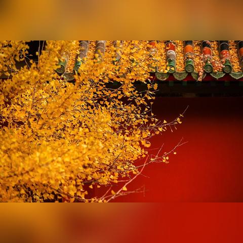 (长安幻想人物简介)长安幻想不良司：适合平民享受的精彩角色扮演游戏吗？