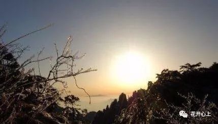 (宫墙柳橙光)宫墙之下橙光耀眼，照亮了沉睡的往事和迷失的感情