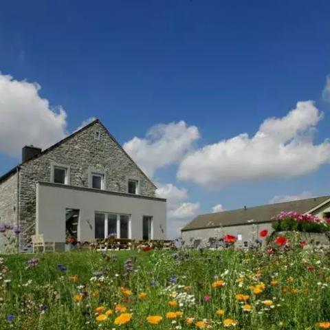 (城堡行动最新版)城堡行动7.0汉化版：新版本更新，带你体验全新战斗乐趣