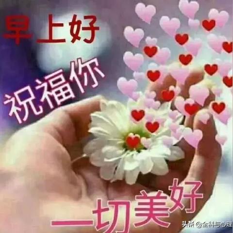 (早安我的少年十级)“早安我的少年10级,你为什么还没求婚呢?” (早安我的少年十级)“早安我的少年10级,你为什么还没求婚呢?”