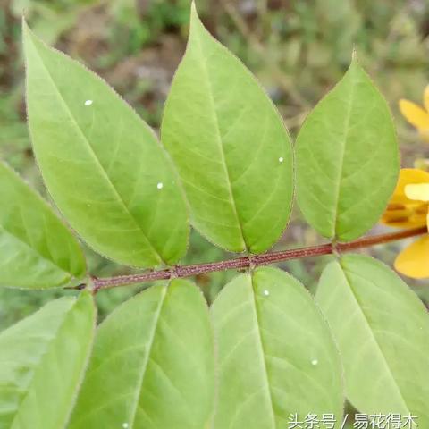 深度剖析:三个蛋合成一个精灵的游戏——雕刻时光的细腻手法与独特设计理念 深度剖析:三个蛋合成一个精灵的游戏——雕刻时光的细腻手法与独特设计理念