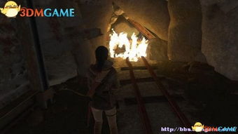 (古墓丽影3攻略图文攻略视频)全图解析古墓丽影3：神庙篇图文攻略以及详细步骤演示视频