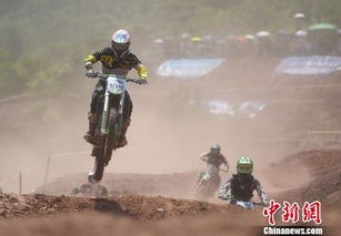 冲锋活动:挑战自我,突破极限,迎接无尽挑战,释放激情与活力 冲锋活动:挑战自我,突破极限,迎接无尽挑战,释放激情与活力