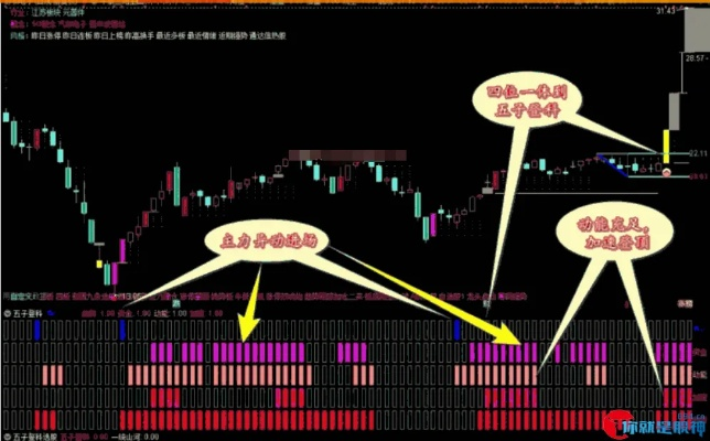 (大智慧股票软件编程)掌握技巧：如何在大智慧股票软件中自行编写并应用投资公式