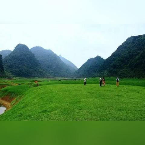 (角落小伙伴农场汉化版)角落小伙伴的农场生活：最新版本更新内容全解析