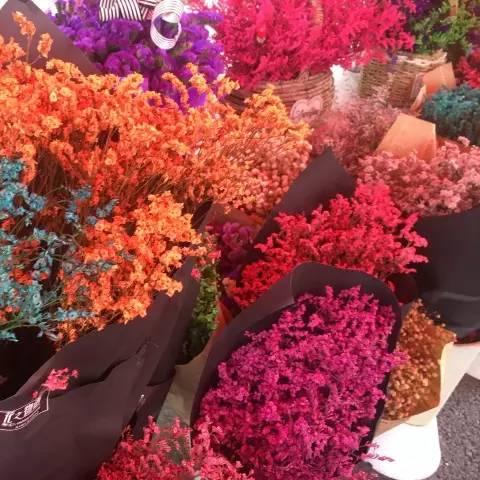 (花园物语花束)花园物语内置作弊菜单mod版:享受更多游戏乐趣的秘密通道和功能 (花园物语花束)花园物语内置作弊菜单mod版:享受更多游戏乐趣的秘密通道和功能