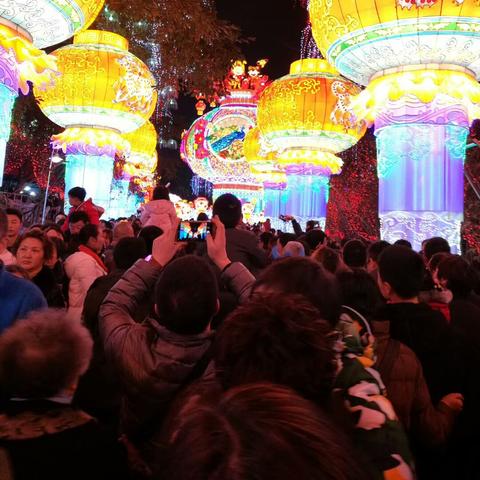 (疯狂恐龙礼包码)疯狂恐龙内置MOD菜单最新版：一键式游戏体验优化及功能增强盛宴