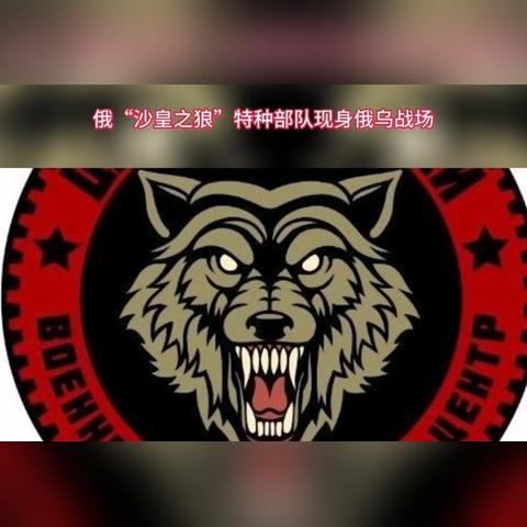 探索吃鸡特种精英：解锁战场新玩法，向击败敌人的最高荣耀进发