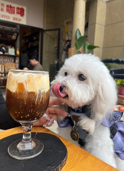 (小咖啡狗图片大全)小狗咖啡馆免广告，体验无限钻石的奇妙时光
